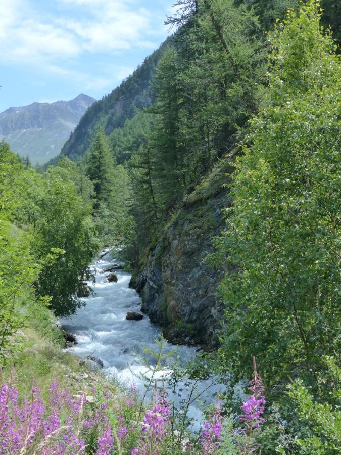 Tranquillite Et Authenticite Au Pied Des Ecrins